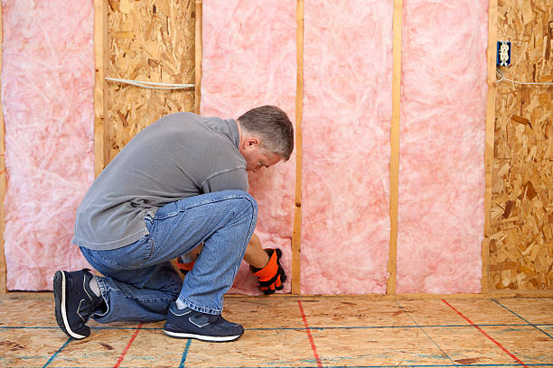 Best Fiberglass Insulation in Honokaa, HI